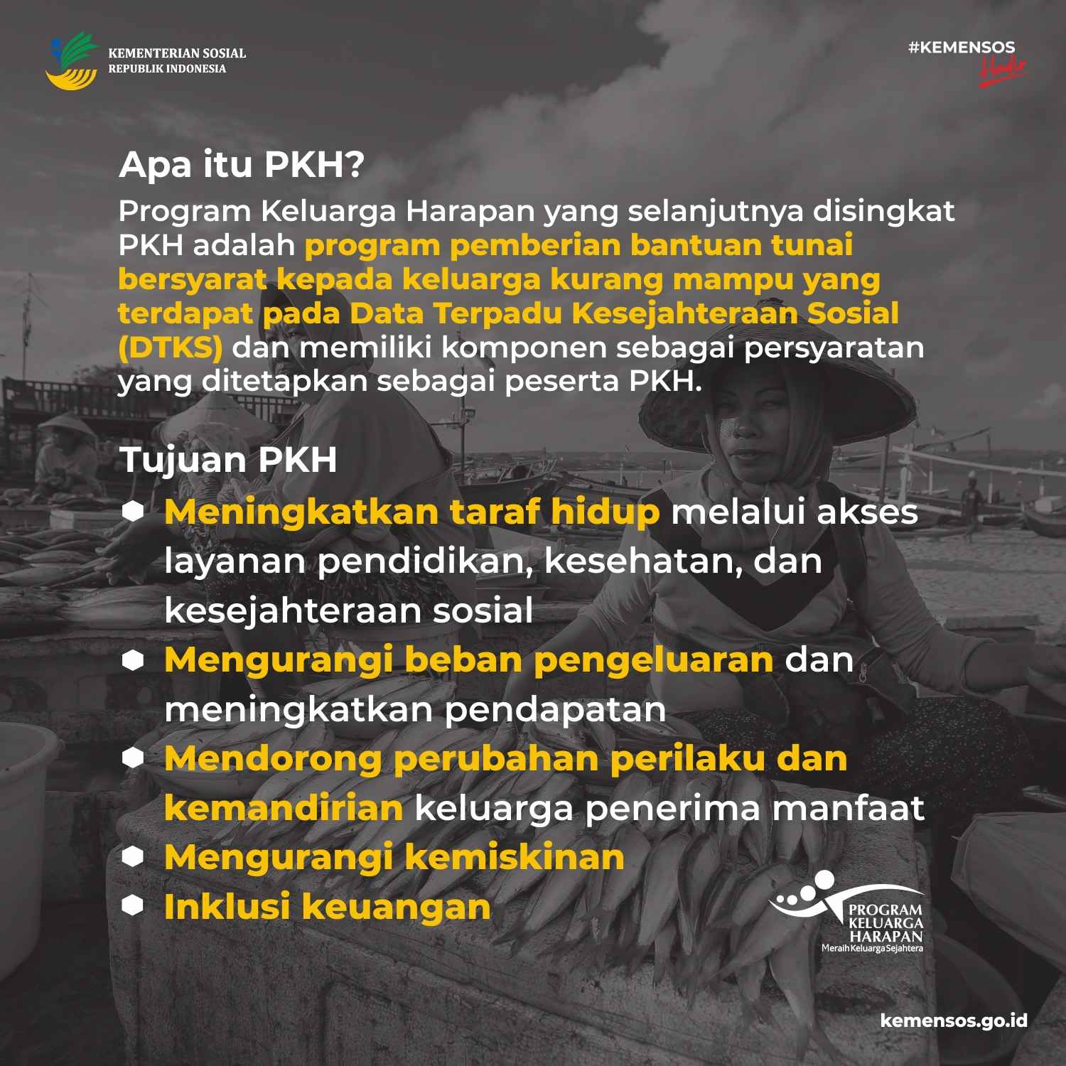 infografis