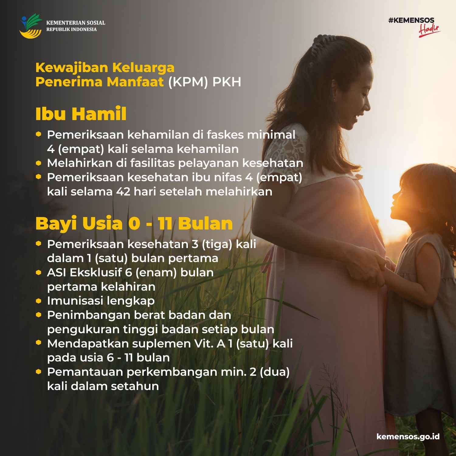 infografis