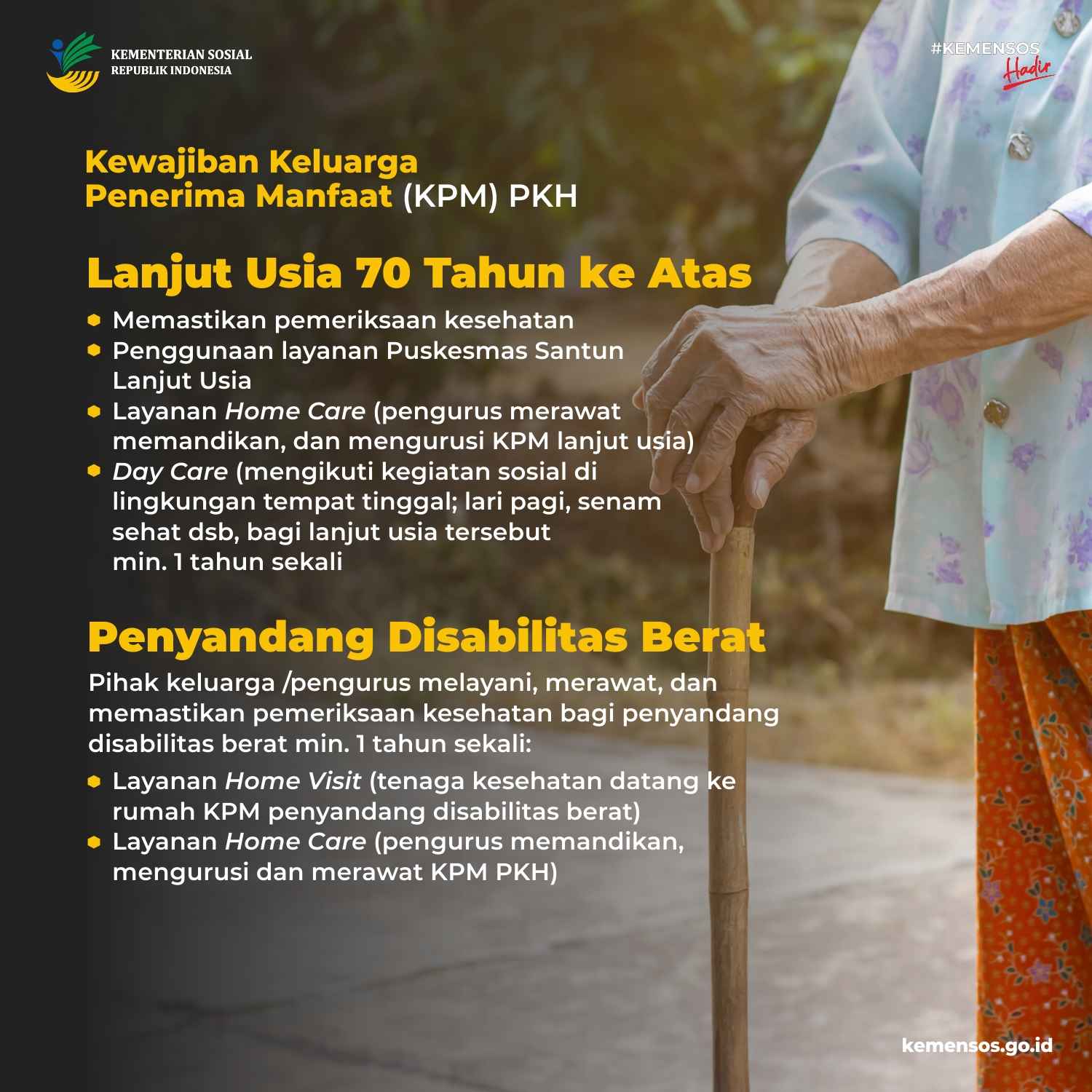 infografis